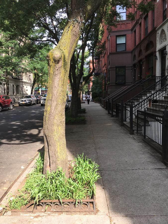Nyc Townhouse 2* Nova York